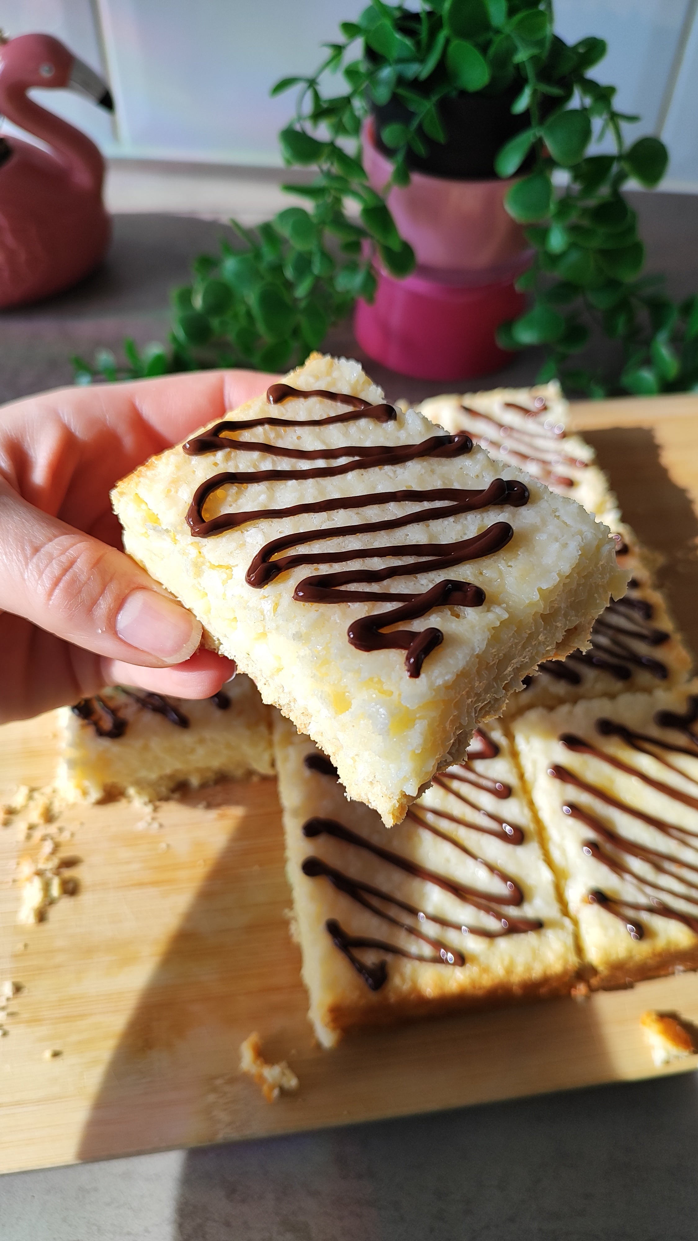 Coconut Beijinho Pie Bar